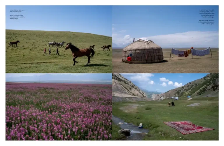 MNTN JOURNAL ISSUE 3.14