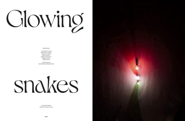 MNTN 4 Serpenti luminosi